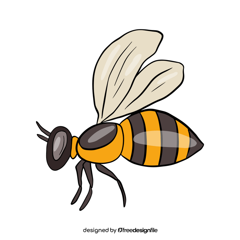 Free bee illustration clipart