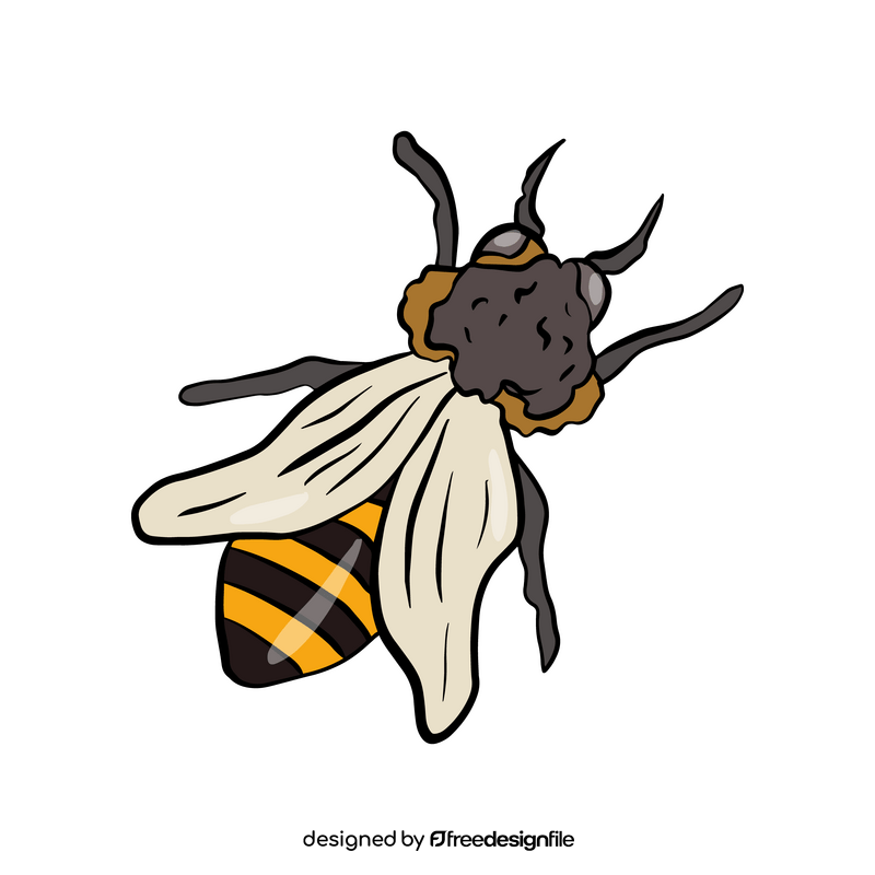 Free bee drawing clipart
