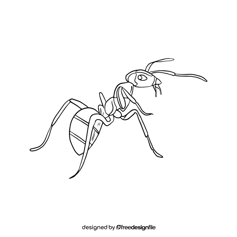 Ant black and white clipart