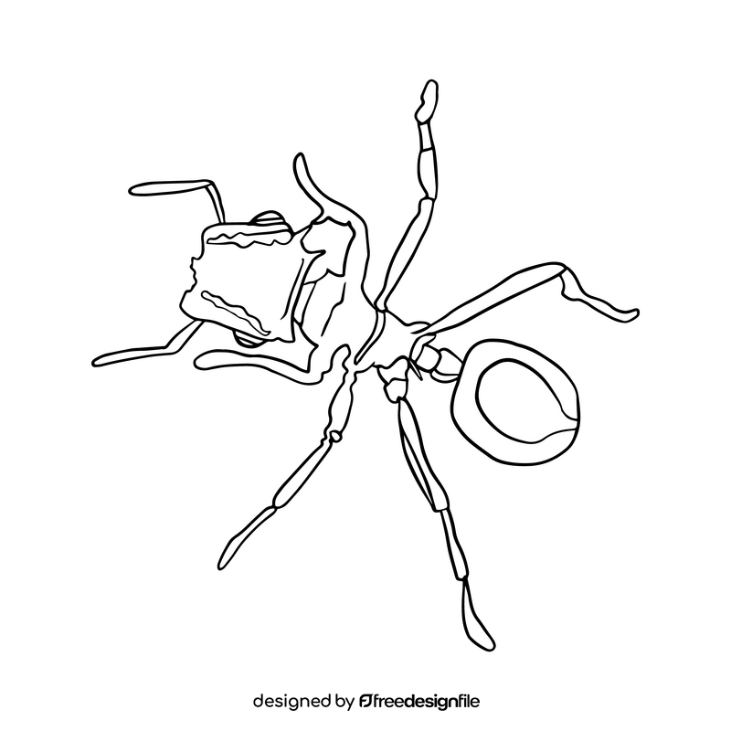 Free ant drawing black and white clipart