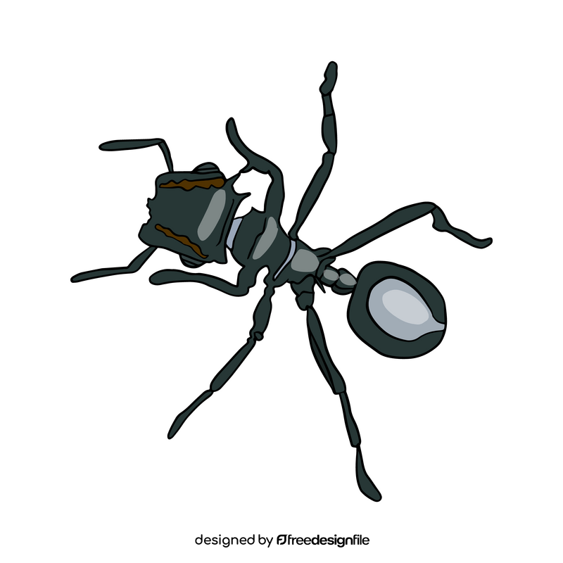 Free ant drawing clipart