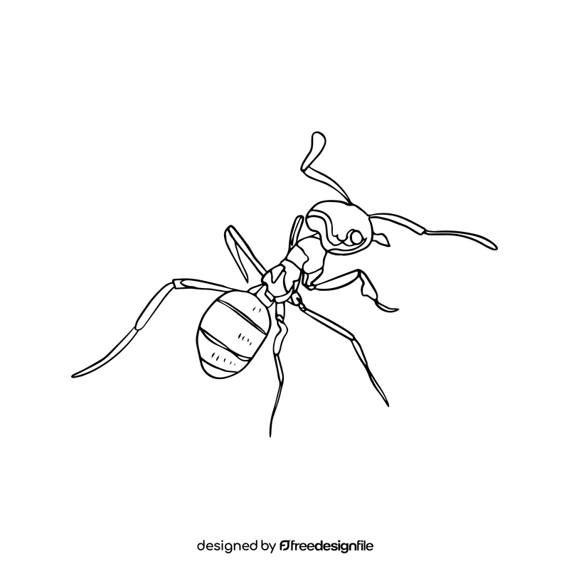 Ant drawing black and white clipart