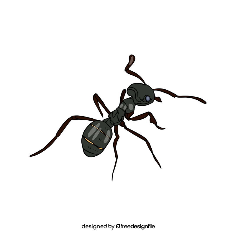 Ant drawing clipart