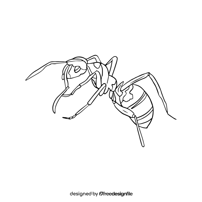 Ant illustration black and white clipart