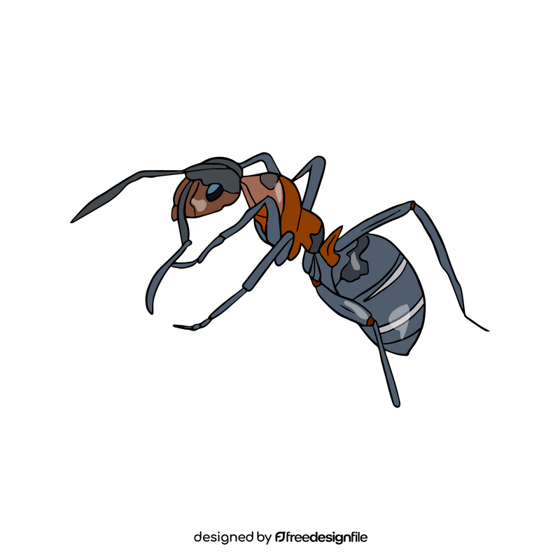 Ant illustration clipart