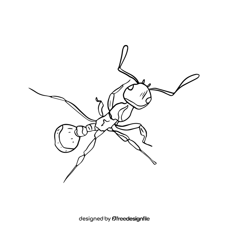 Ant black and white clipart