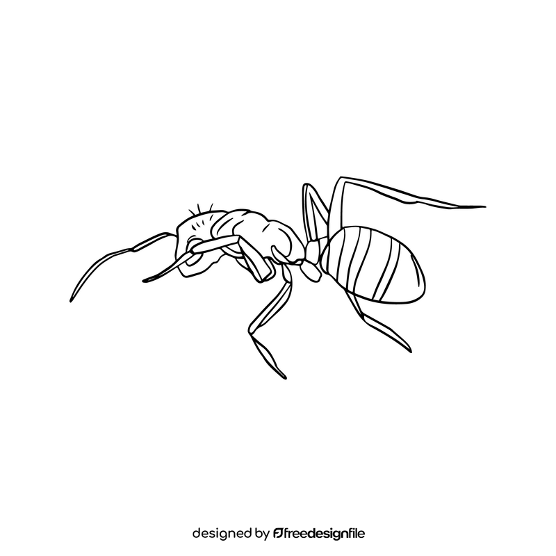 Ant black and white clipart