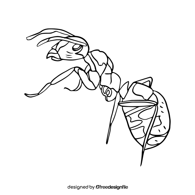 Free ant black and white clipart