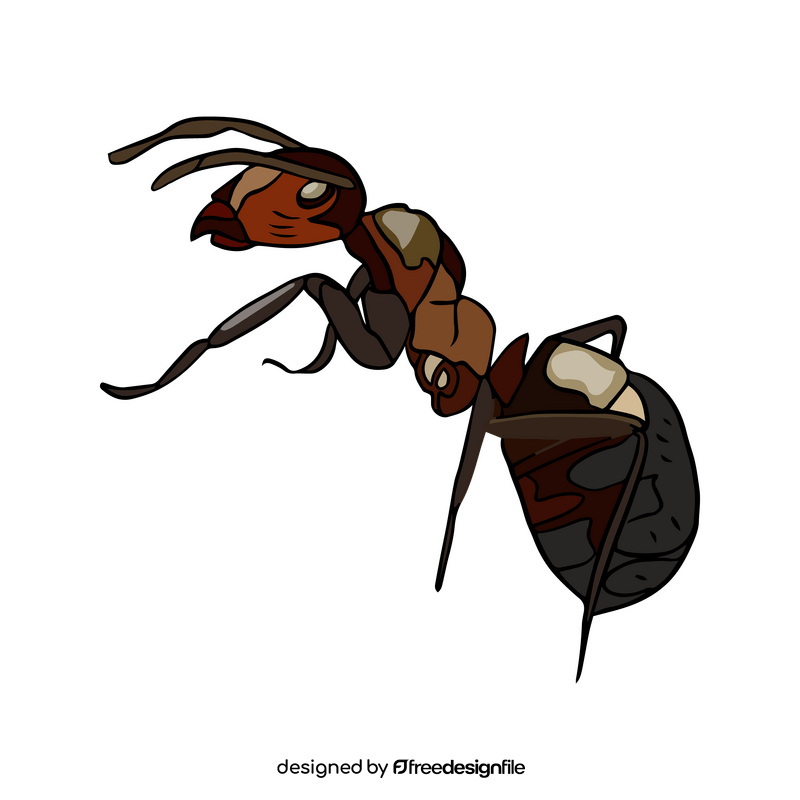 Free ant clipart