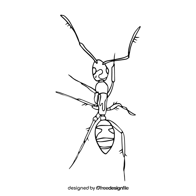 Ant black and white clipart