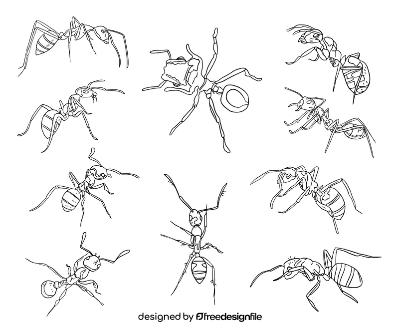 Ants drawing black and white vector