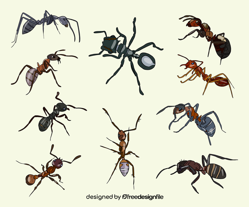 Ants drawing vector