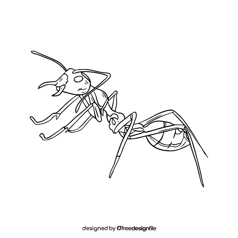 Free ant black and white clipart