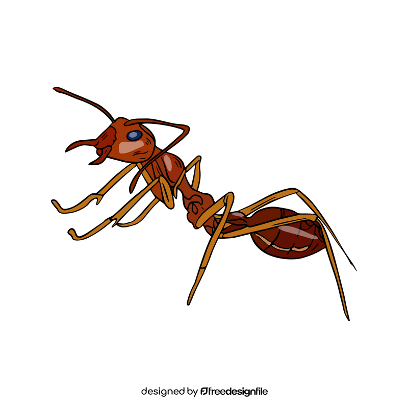 Free ant clipart