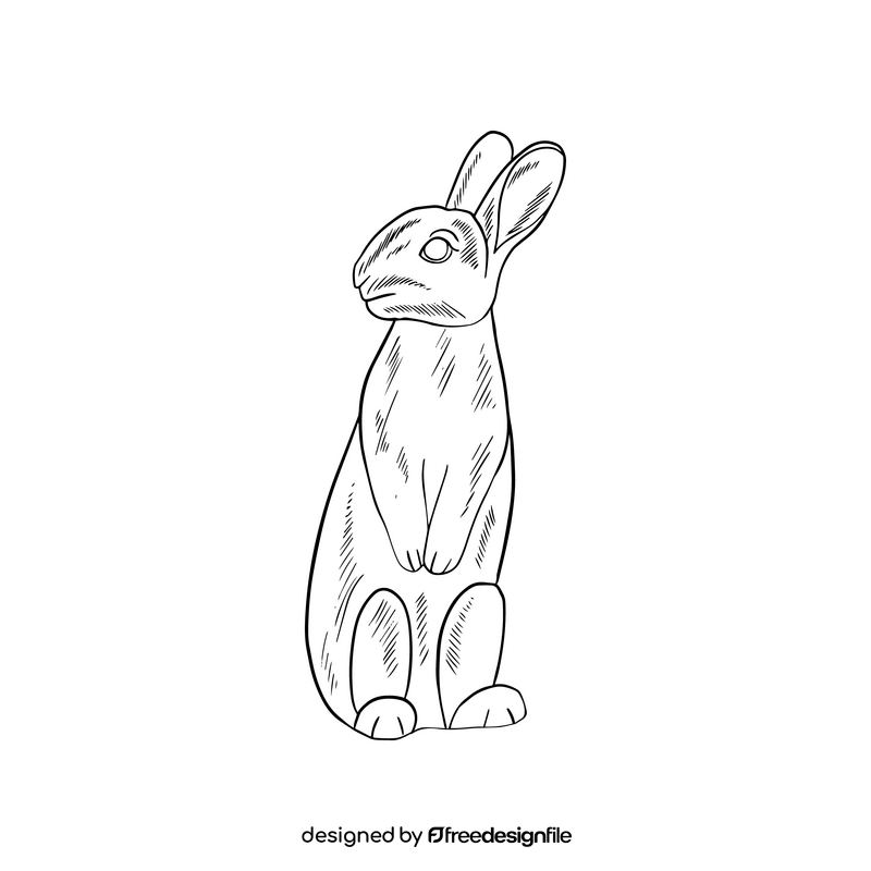 Hare cartoon drawing black and white clipart
