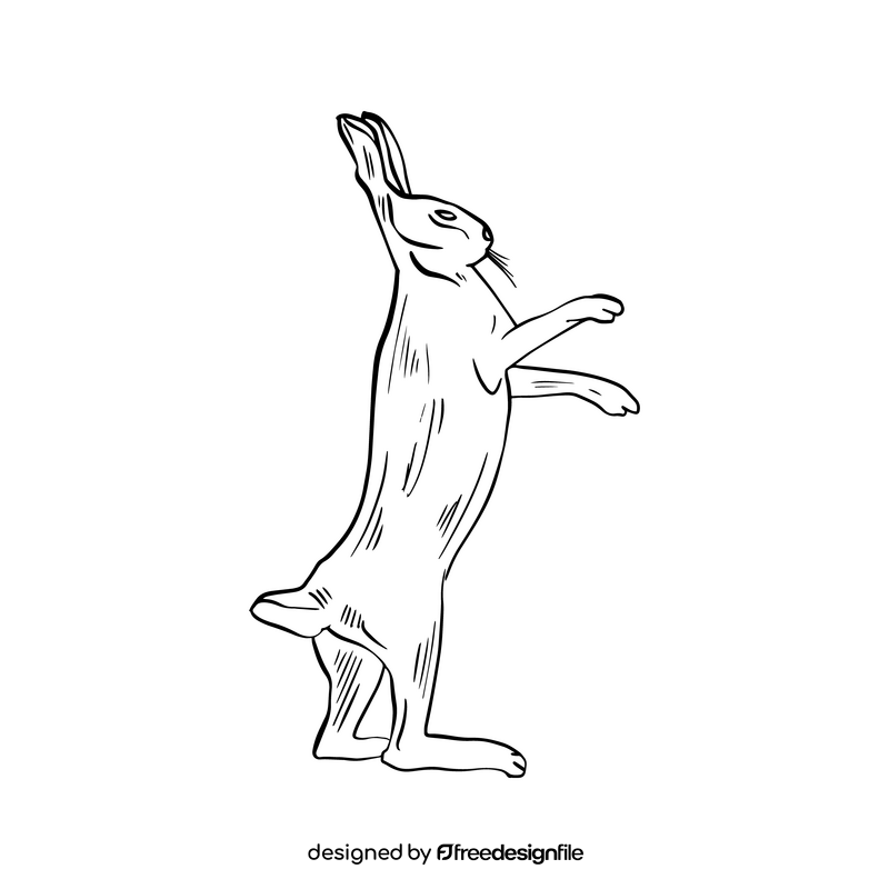 Hare black and white clipart