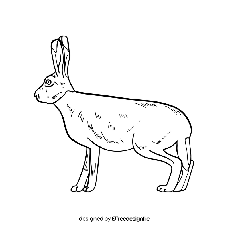 Hare illustration black and white clipart