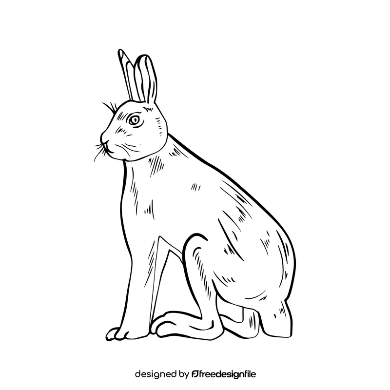 Sitting hare drawing black and white clipart
