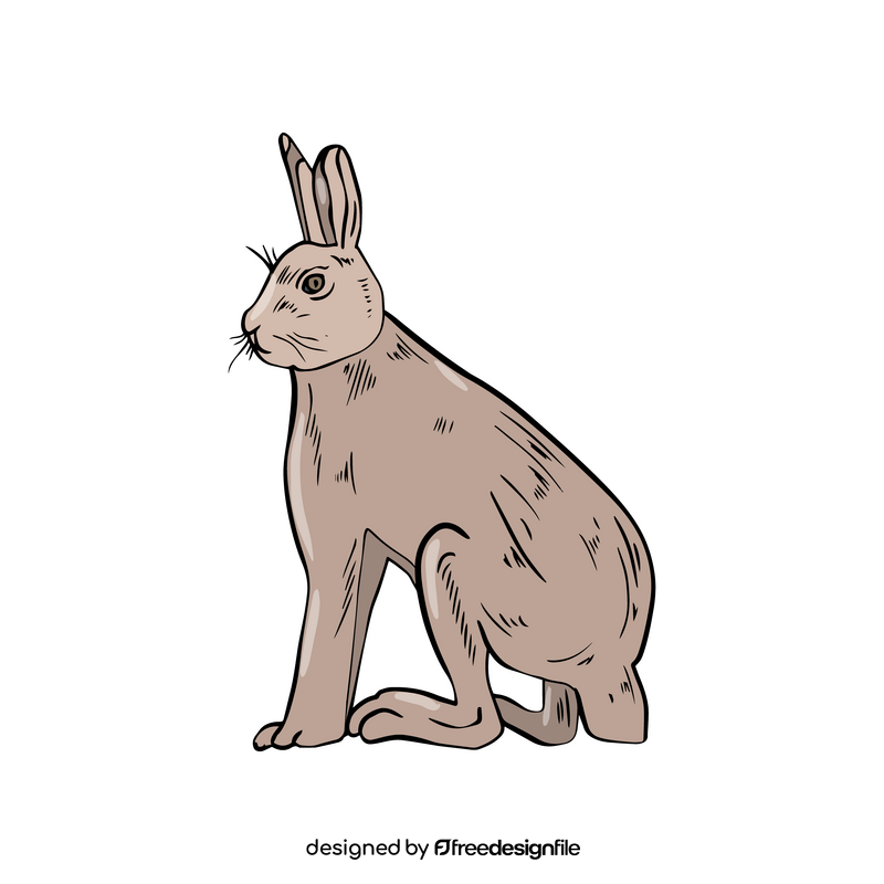 Sitting hare drawing clipart