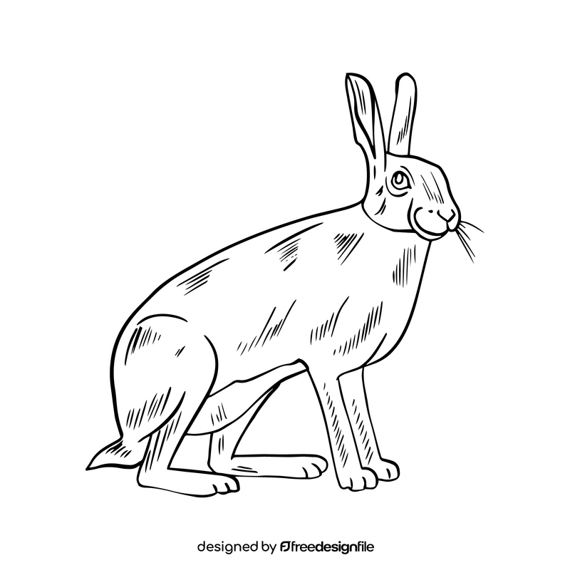 Hare black and white clipart