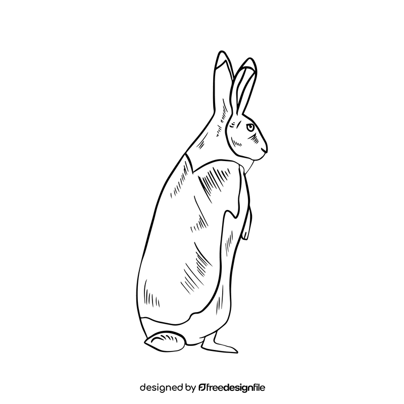 Hare black and white clipart