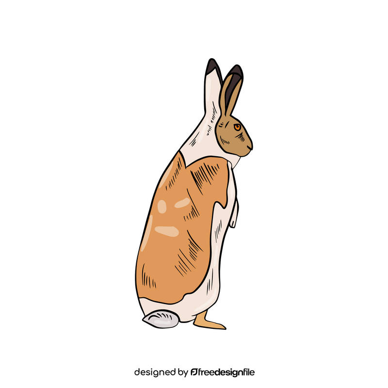 Orange hare clipart