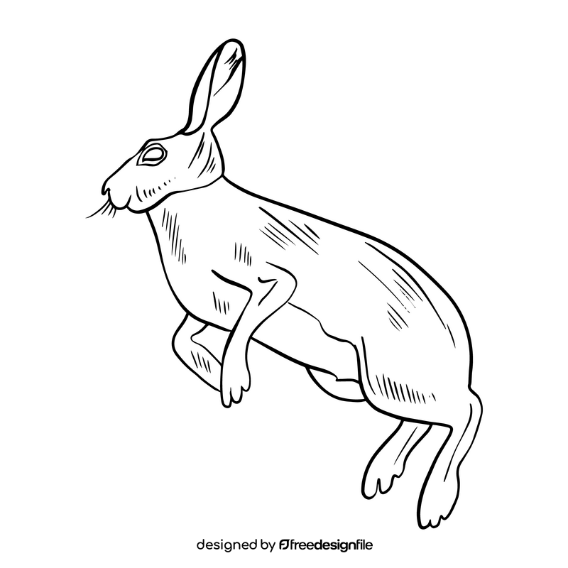 Jumping hare black and white clipart