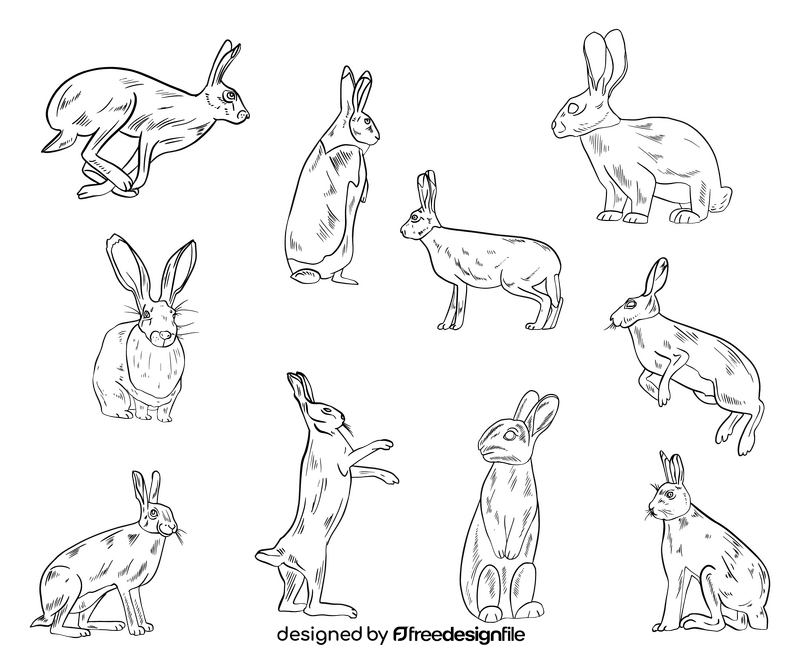 Free hares black and white vector