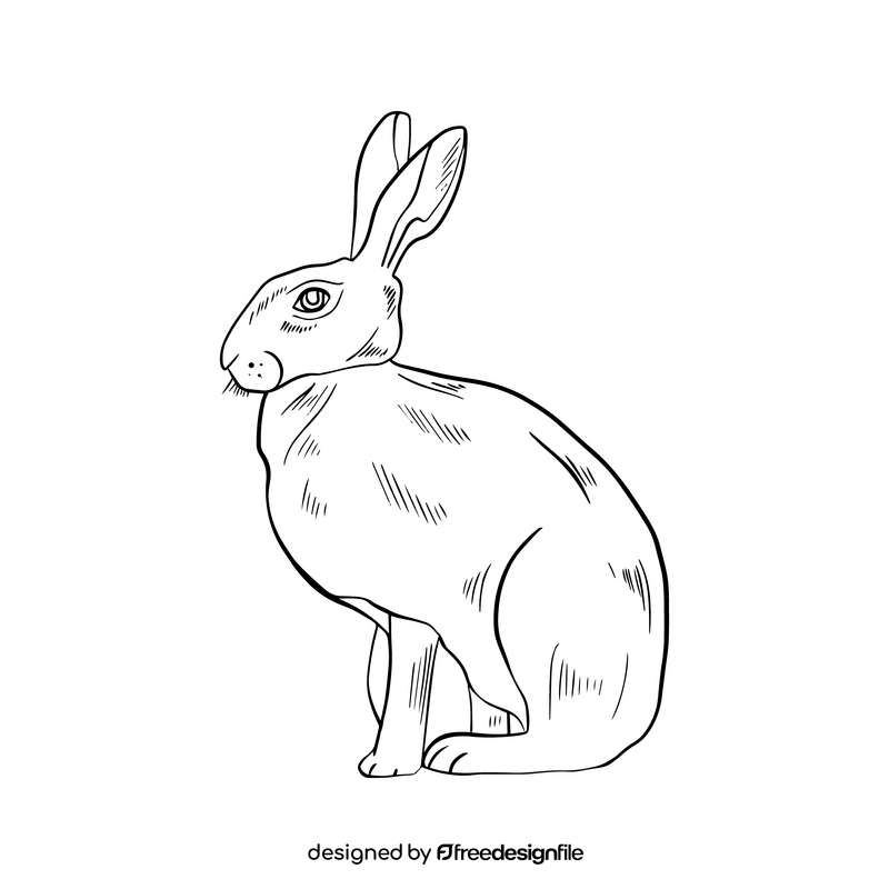 Hare black and white clipart