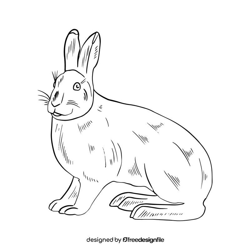 Hare black and white clipart