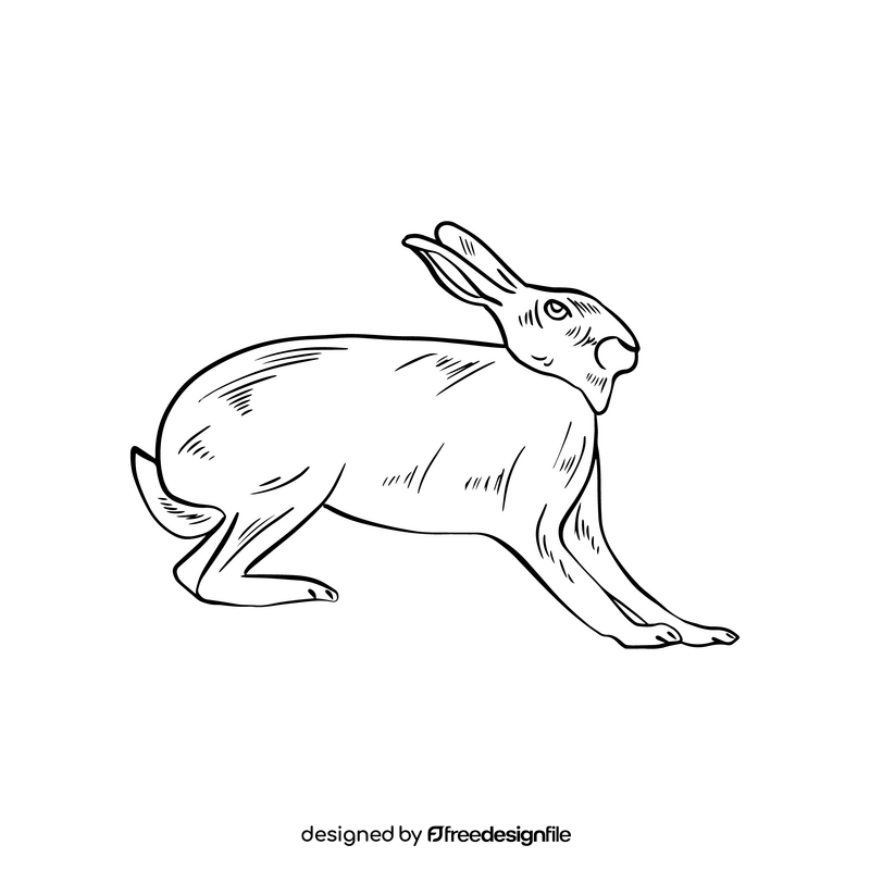 Free hare black and white clipart