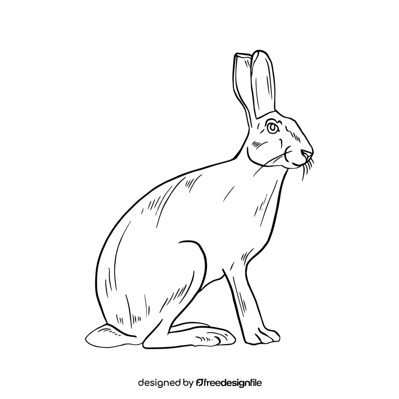 Hare black and white clipart