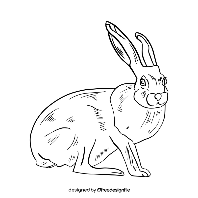 Hare black and white clipart