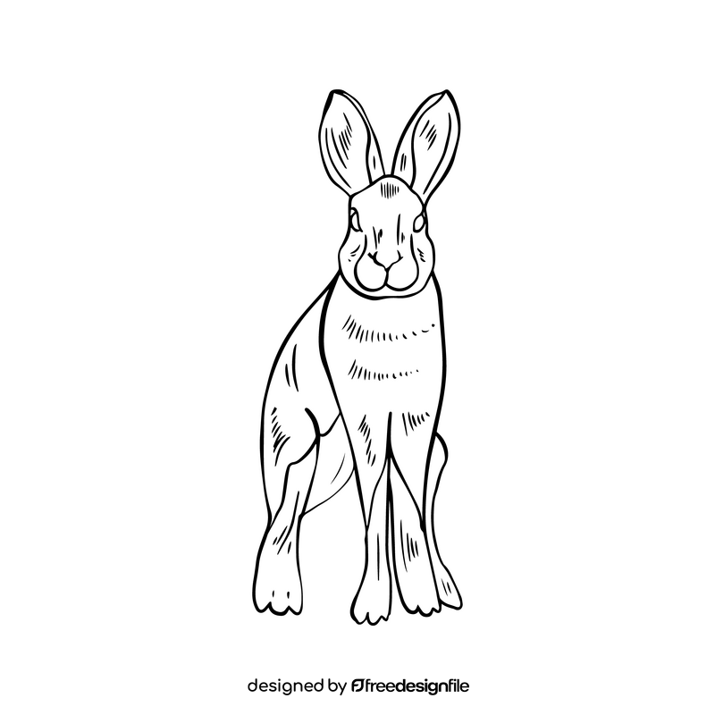 Hare cartoon black and white clipart