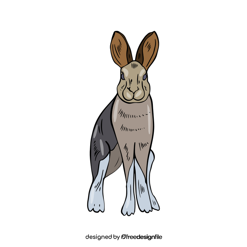 Hare cartoon clipart