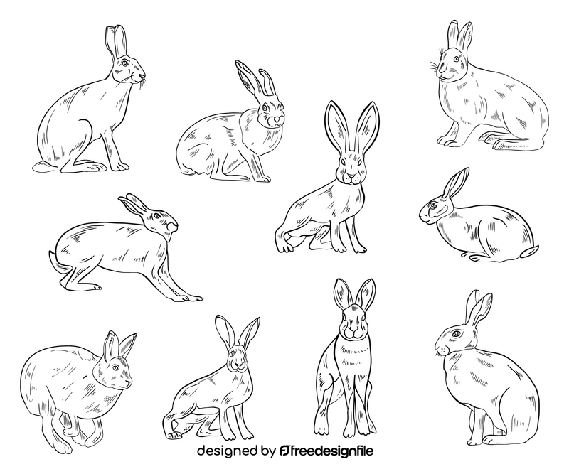 Cute hare black and white vector