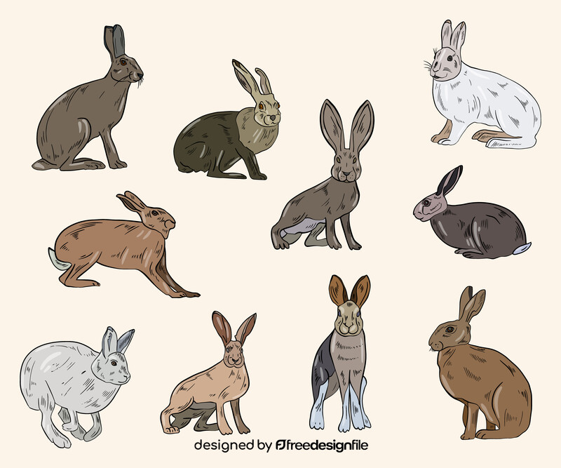 Cute hare vector