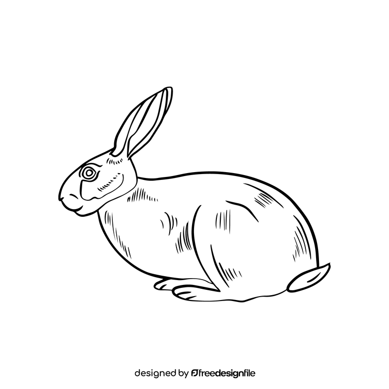 Cute hare black and white clipart