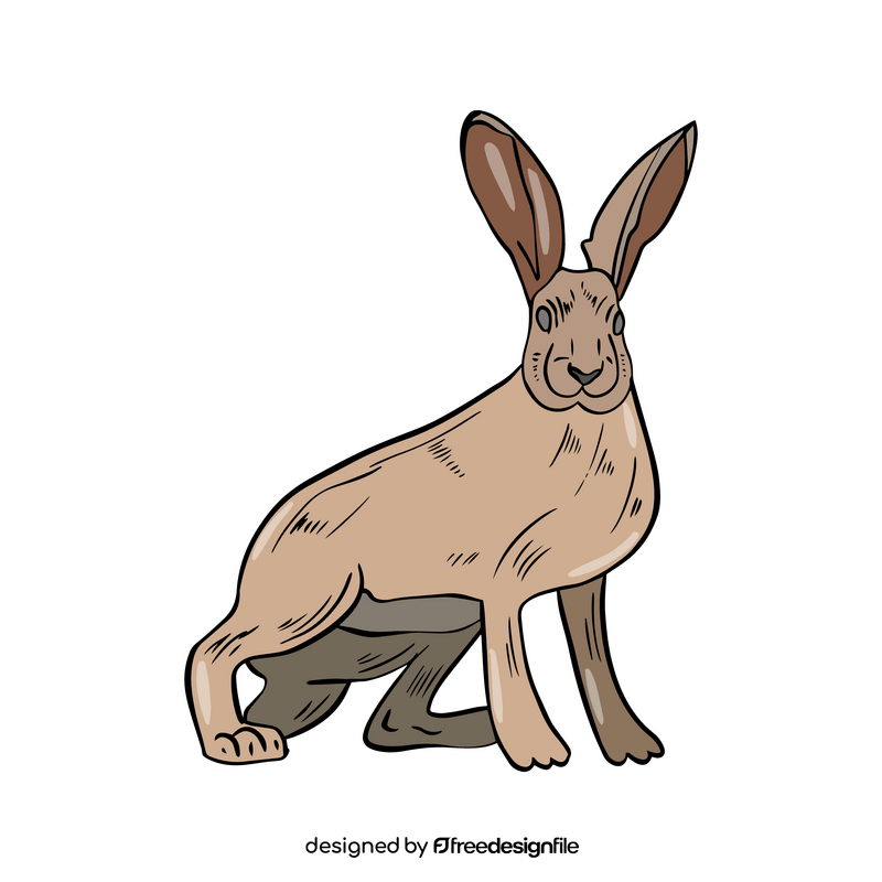 Cute hare clipart