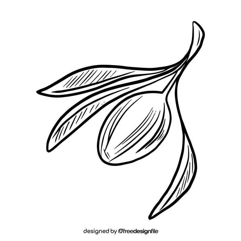 Olive branch black and white clipart