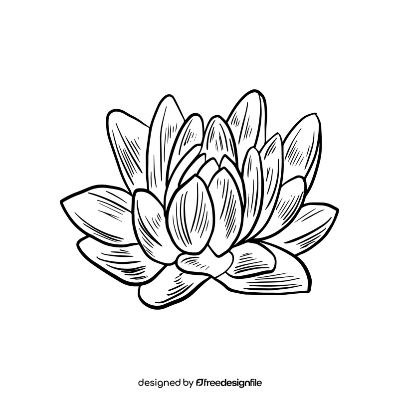 Free plant illustration black and white clipart
