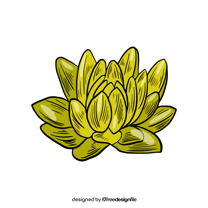 Free plant illustration clipart