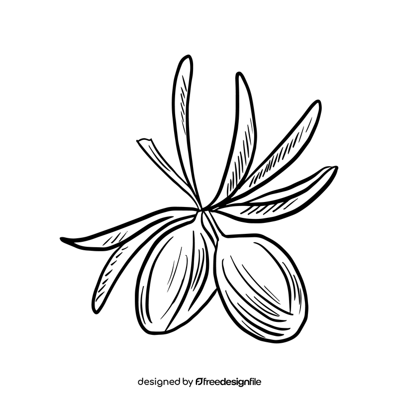 Olive branch cartoon black and white clipart