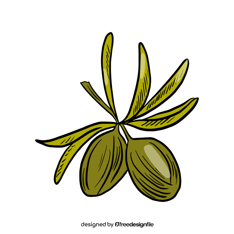 Olive branch cartoon clipart