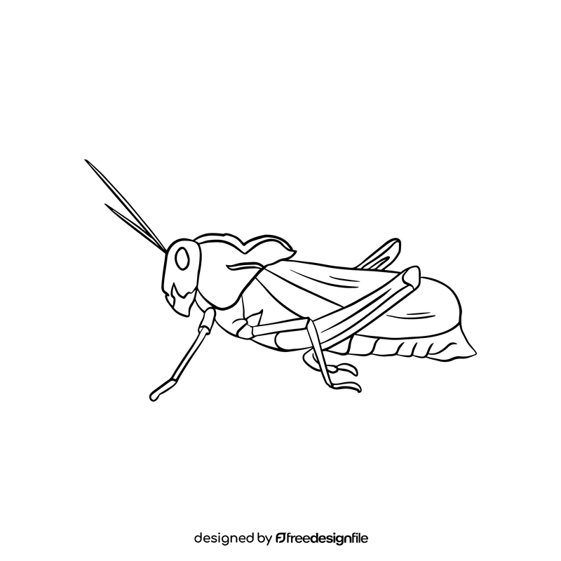 Locust drawing black and white clipart