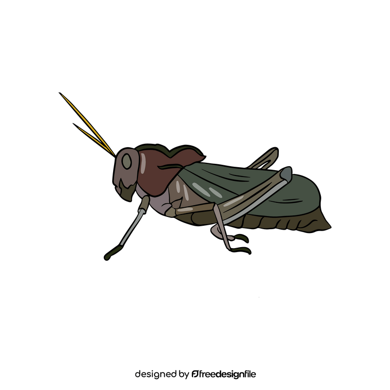 Locust drawing clipart