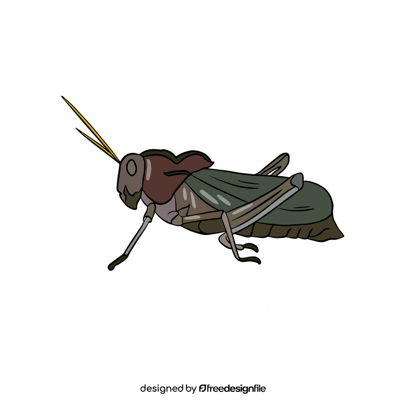 Locust drawing clipart