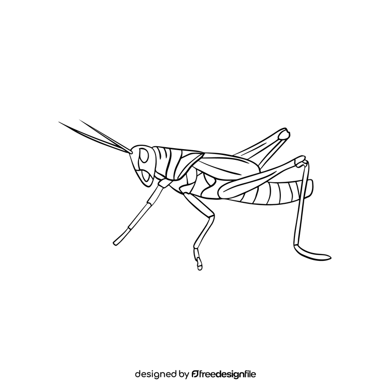 Locust illustration black and white clipart