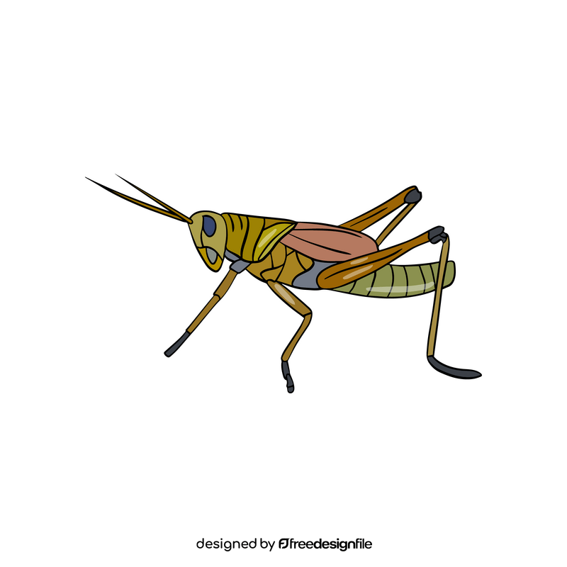 Locust illustration clipart