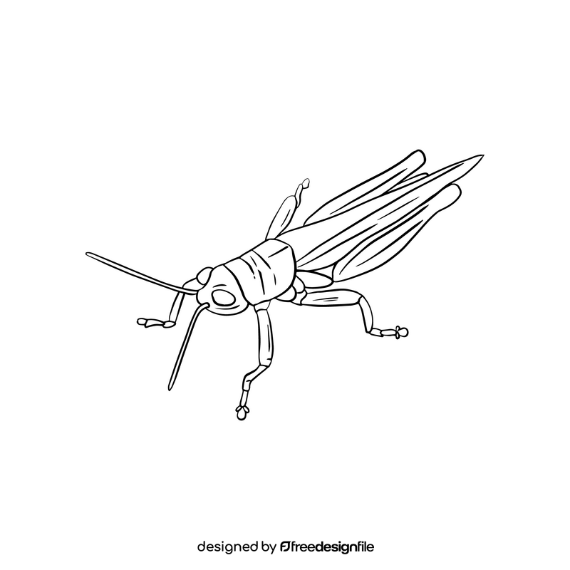 Locust black and white clipart